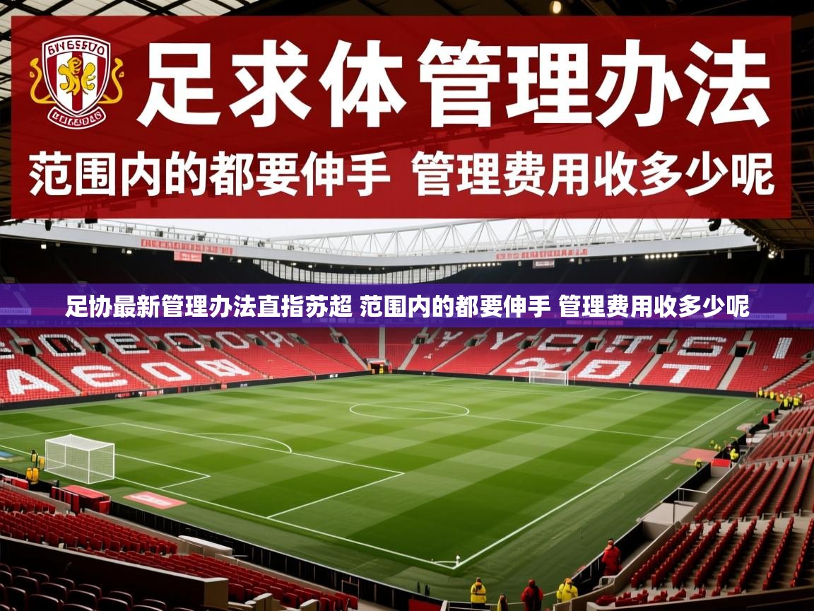 2025爱游戏体育网页版官方入口足协最新管理办法直指苏超 范围内的都要伸手 管理费用收多少呢